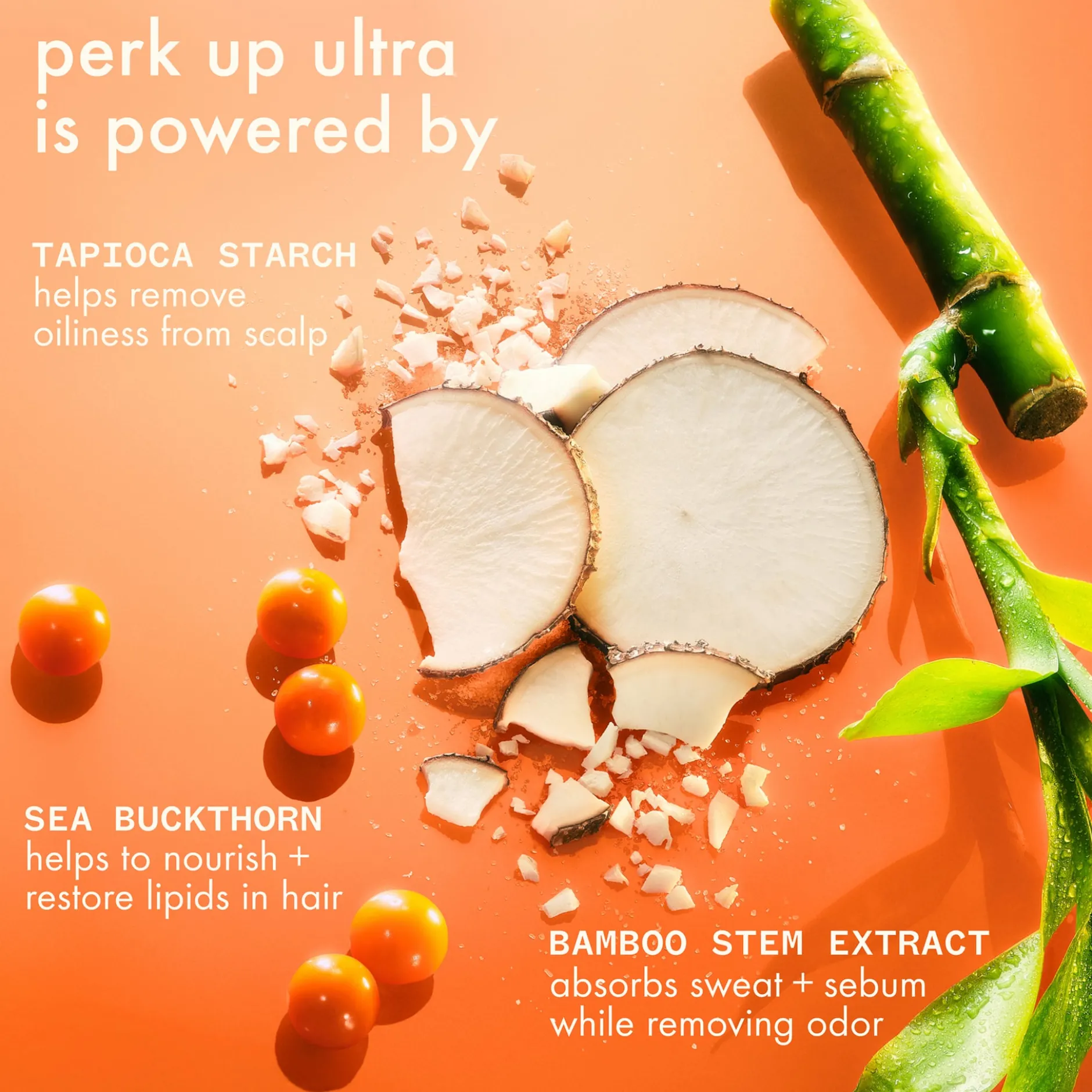 amika Perk Up Ultra Oil Control Dry Shampoo 115 ml