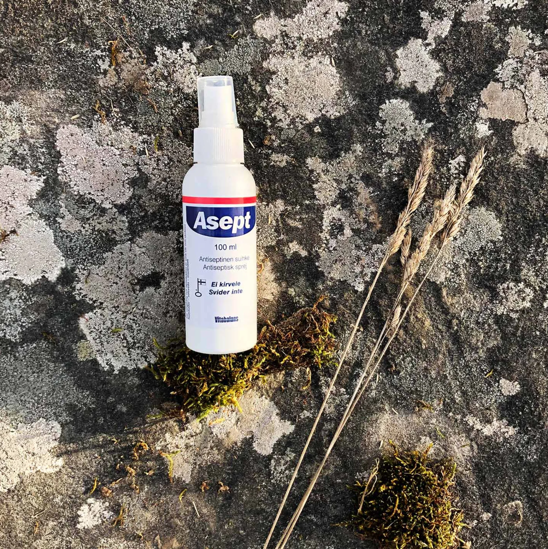 Asept Multifunktionell Antiseptisk Spray 100 ml