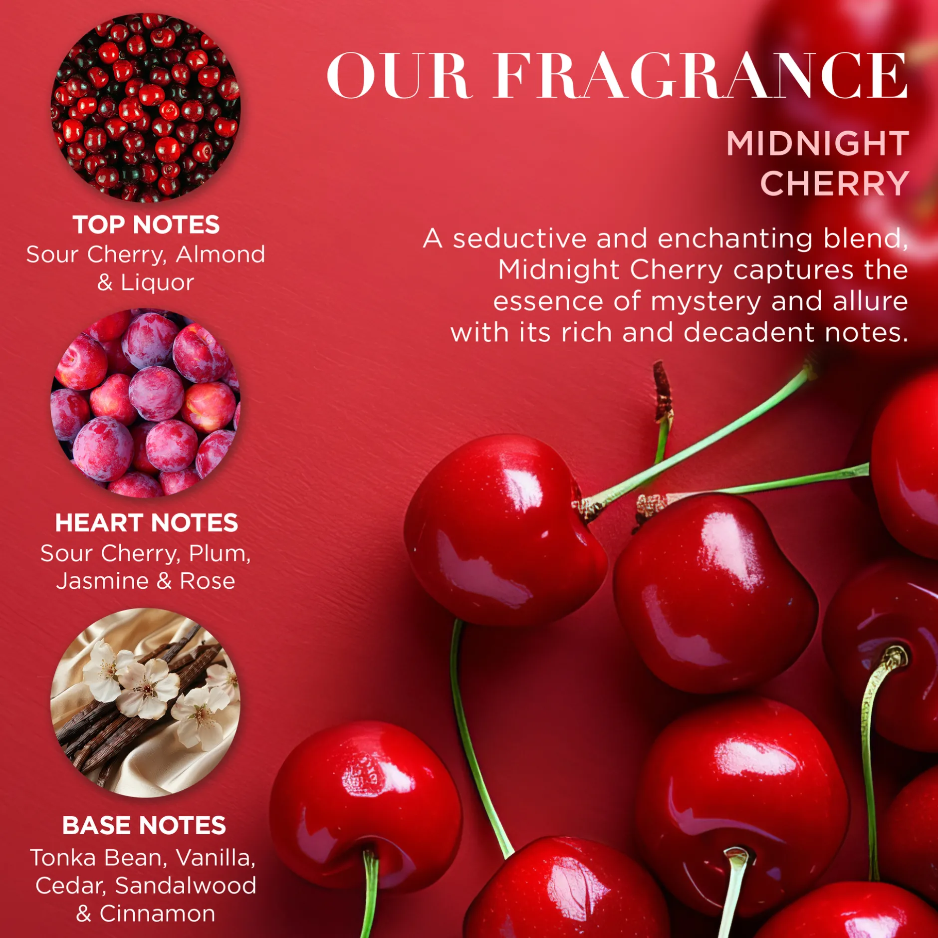Baylis & Harding Midnight Cherry Travel Bag Gift Set 275 ml