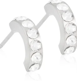 Blomdahl Örhängen NT Pendant Brilliance Curved 10 mm 1 par