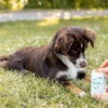 Buddy Care Hip & Joint 150g