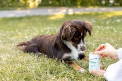Buddy Care Hip & Joint 150g