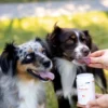 Buddy Care Probiotic 150g