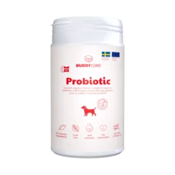 Buddy Care Probiotic 150g