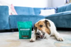 Buddy Care Veggie Dental Chew 250g
