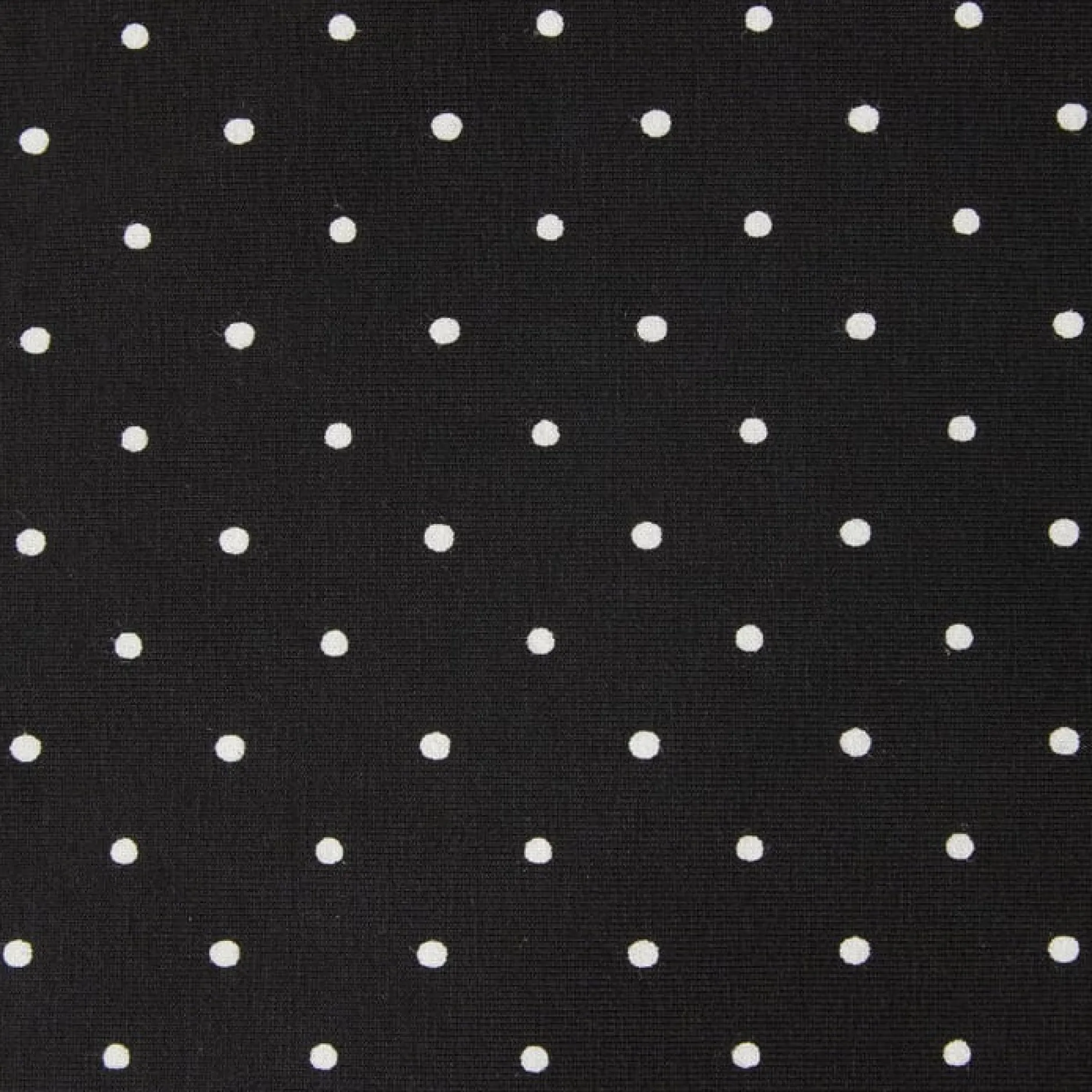 Coracor Small Dot Black Bärsjal