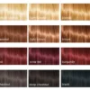 Cultivator's Organic Herbal Hair Color Golden Blonde 1 st