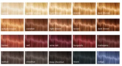 Cultivator's Original Herbal Hair Color Deep Chestnut 1 st