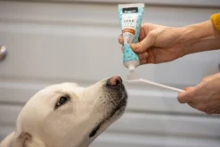 Dogman Tandkräm Biff 100 g