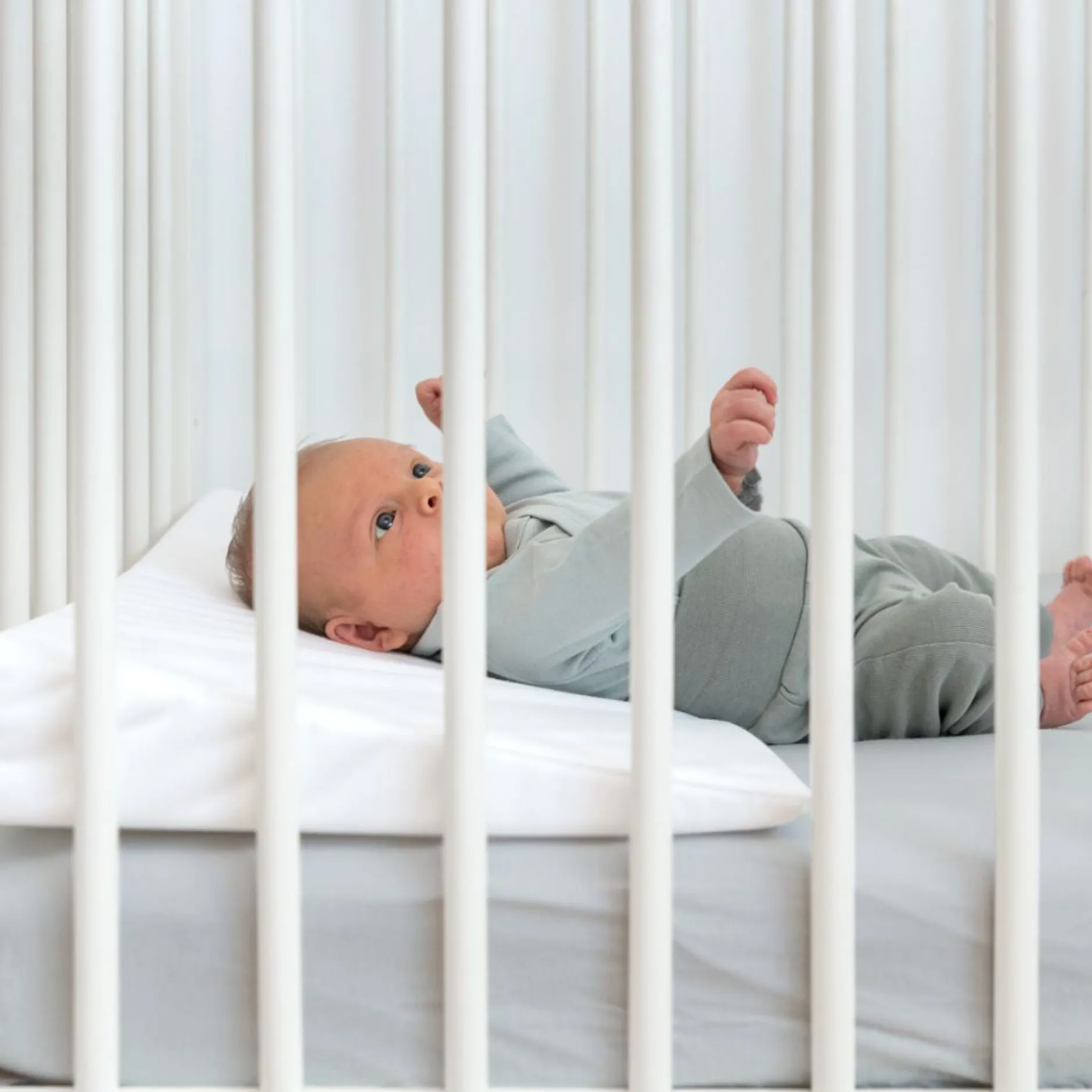 Doomoo Kilkudde Bred