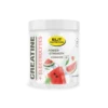 Elit Nutrition Kreatin + Elektrolyter Watermelon 300 g