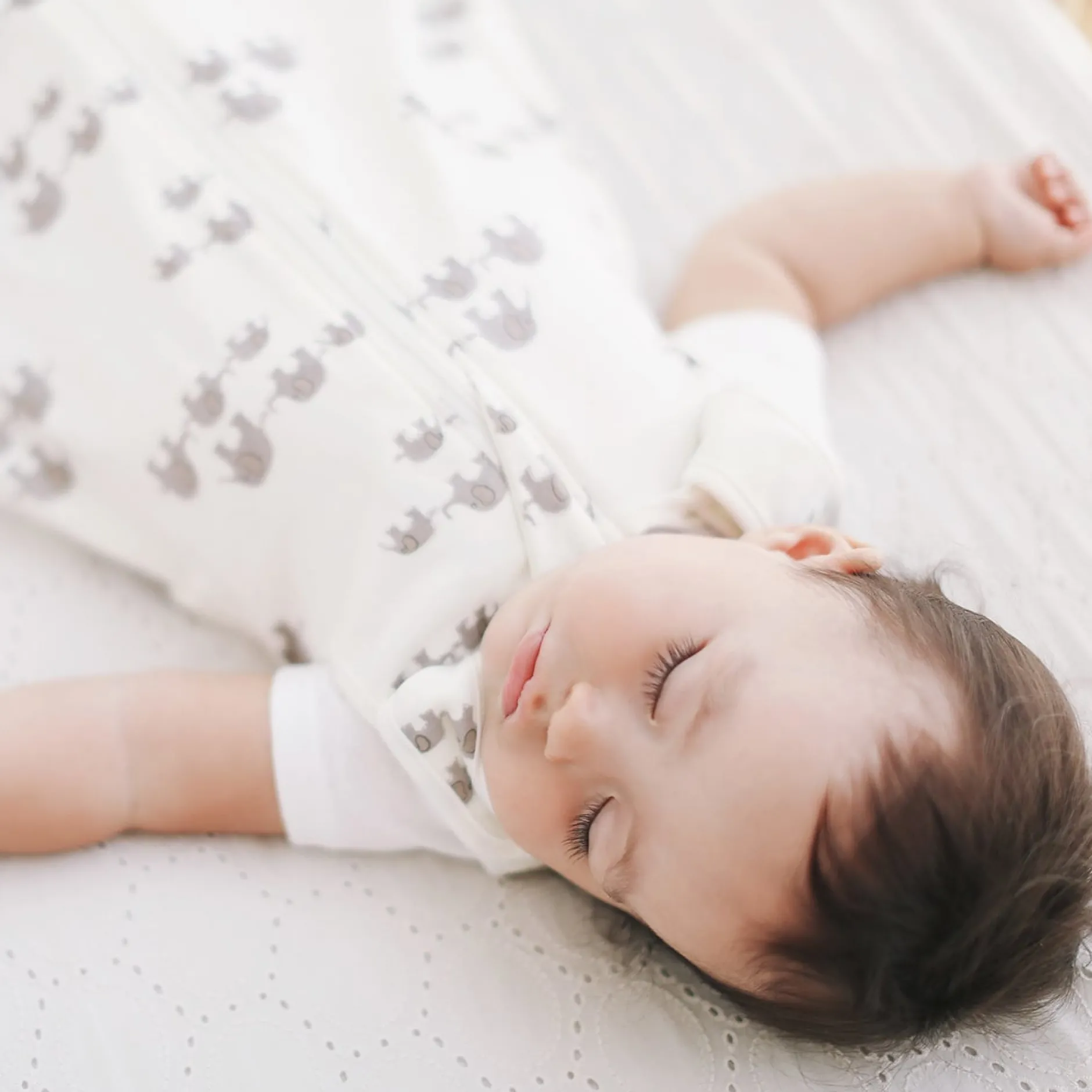 Ergobaby Sovpåse på språng Elefanter Tjock 18-36m (TOG 2.5)