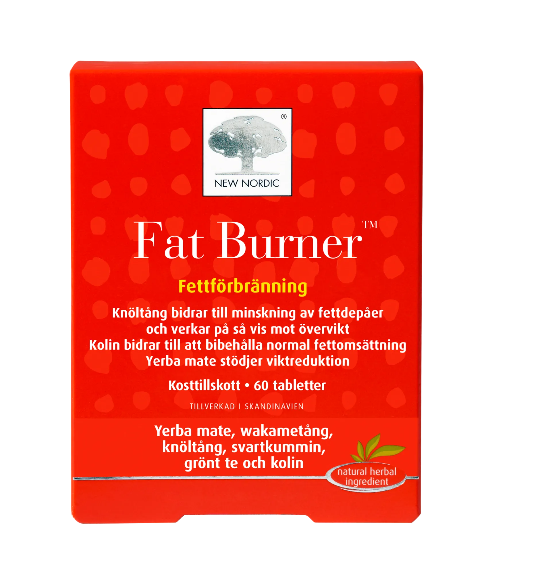 Fat Burner Fettförbränning 60 tabletter