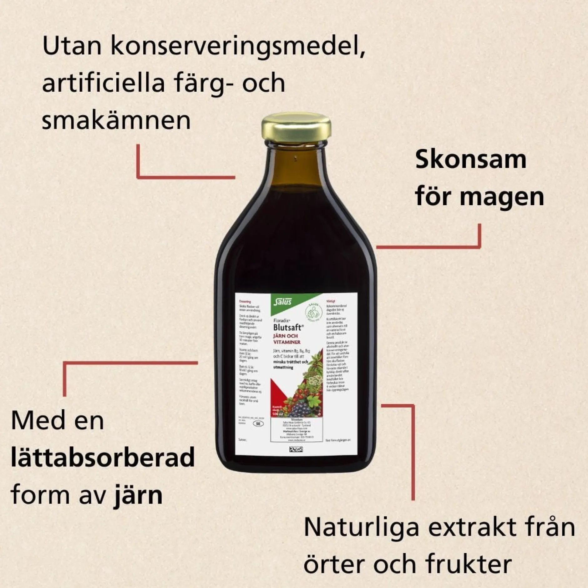 Floradix Blutsaft 500ml