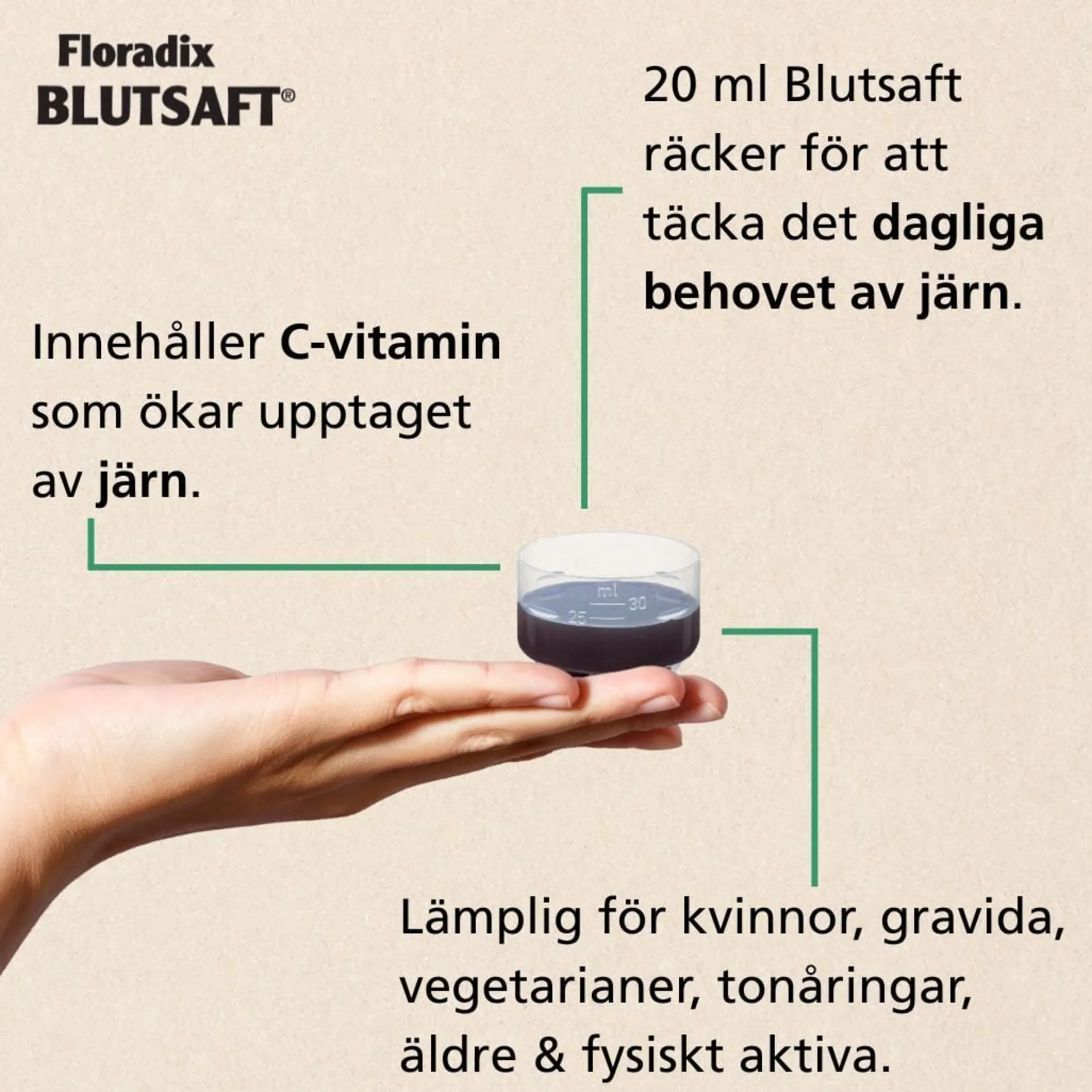 Floradix Blutsaft 500ml