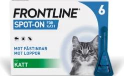 Frontline Vet 100mg/ml Spot-on lösning för katt 6 x 0,5ml