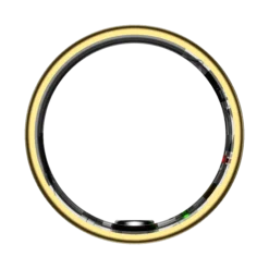 HAALE II - Gold 7