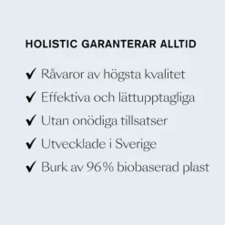 Holistic B-12 Folsyra 90 vegetabiliska sugtabletter