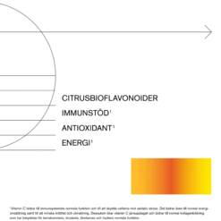 Holistic C-vitamin Bioflav 90 kapslar