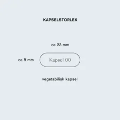 Holistic Femme Detox 60 kapslar