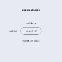 Holistic Homme Viril+ 90 vegetabiliska kapslar
