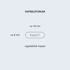 Holistic Lactovitalis®Daily 5 miljarder Mjölksyrabakterier 30 vegetabiliska kapslar