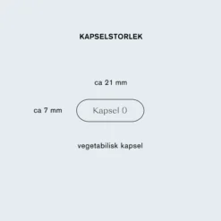 Holistic Lion's mane 60 vegetabiliska kapslar