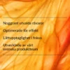 Holistic Multivitamin 90 vegetabiliska kapslar