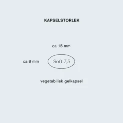 Holistic Q10 Coenzyme 60 mg 60 vegetabiliska mjuka kapslar