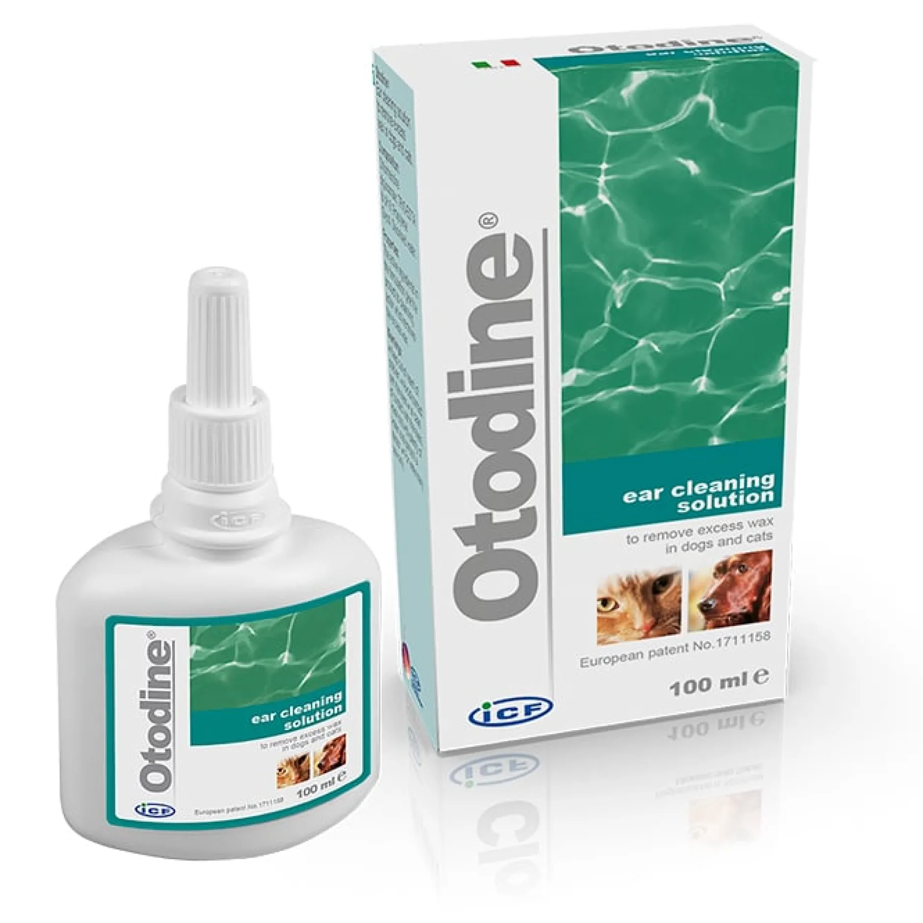 ICF Otodine 100 ml