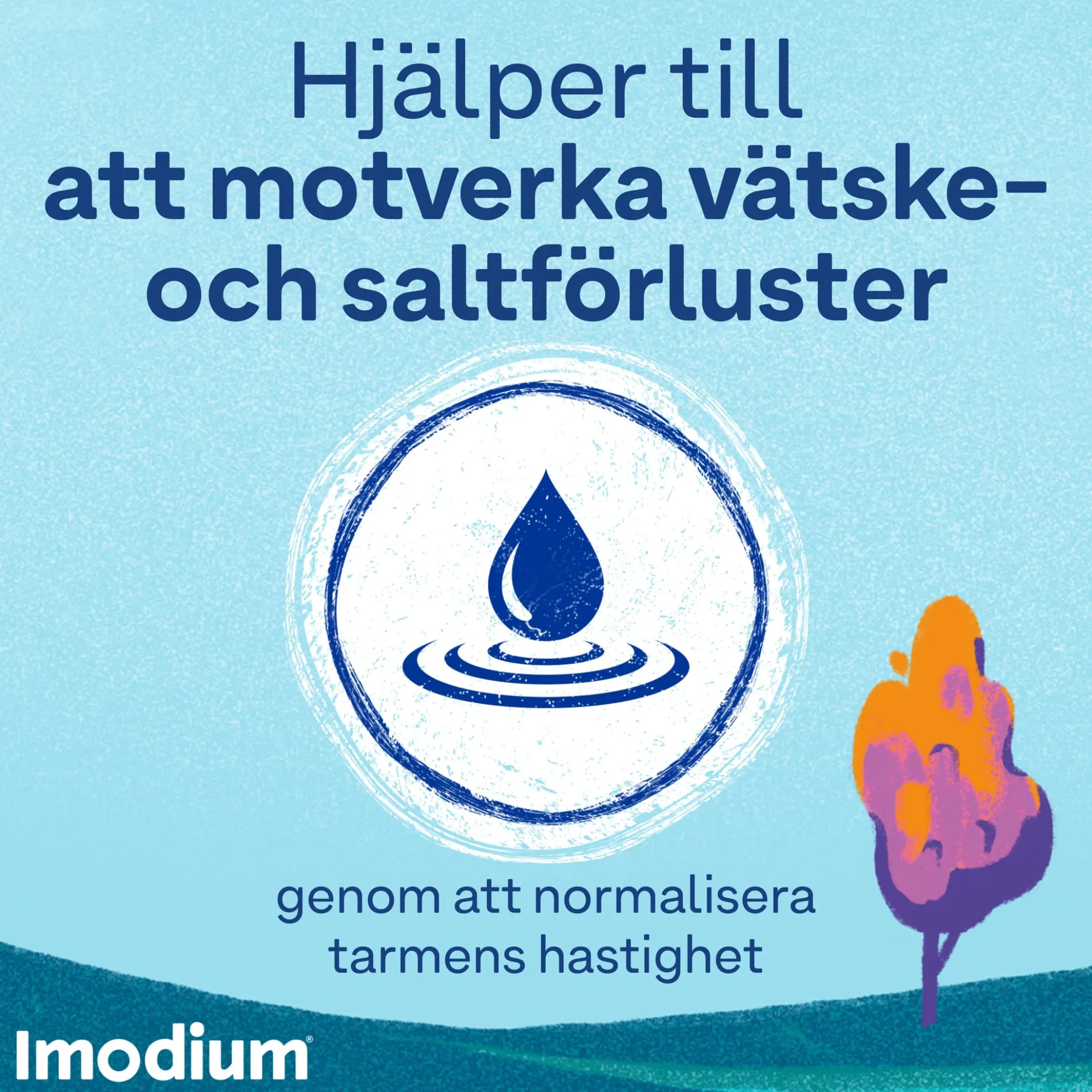 Imodium tabletter 2mg, 16 st
