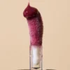 INIKA Organic Tinted Lip Oil Mulberry 5 ml