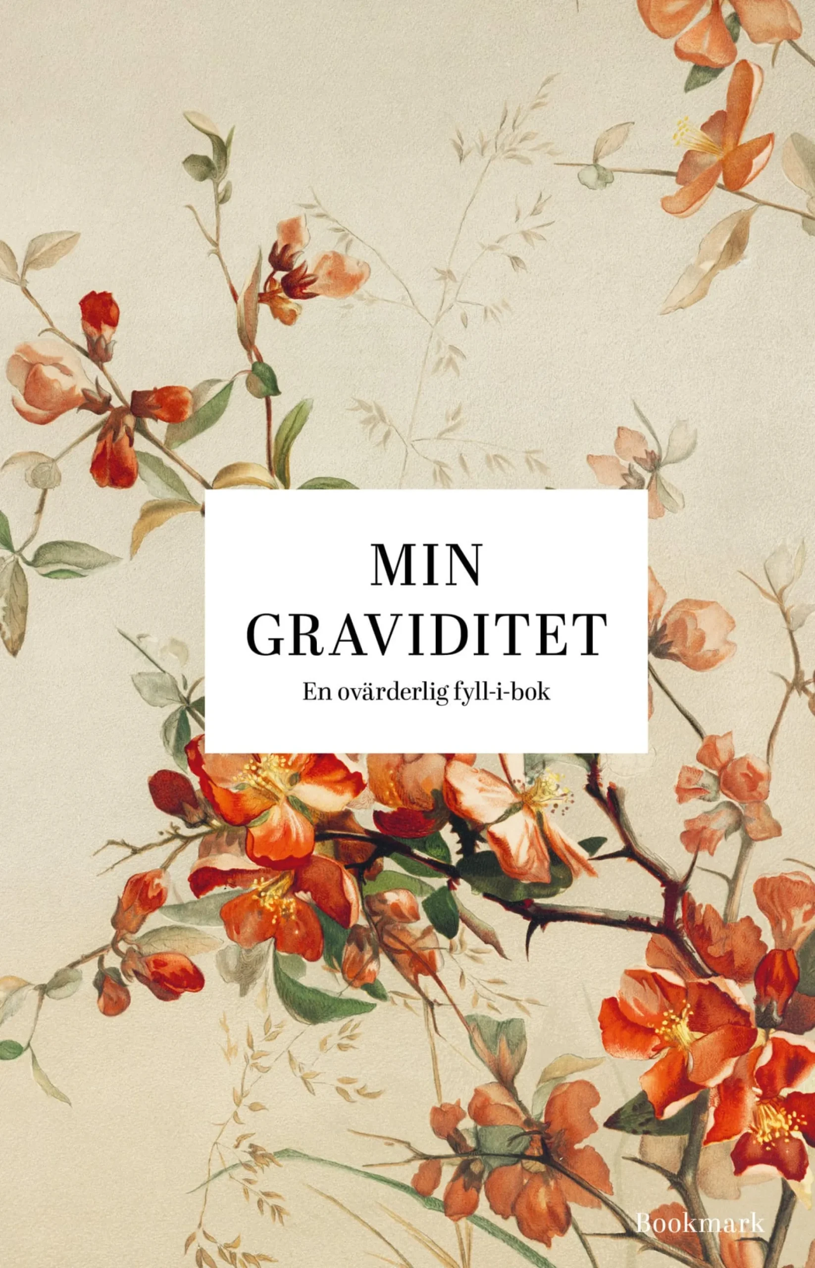 Min graviditet