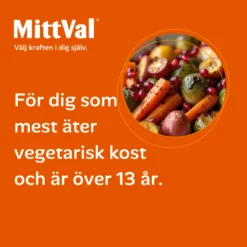 MittVal Vegetarian 100 tabletter