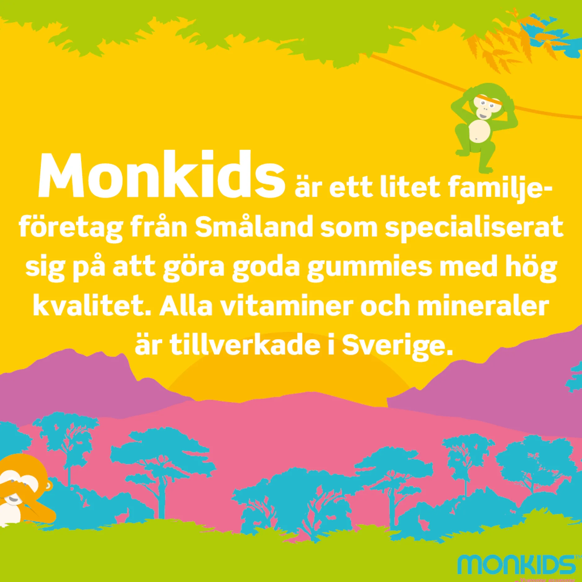 Monkids Multivitamin Barn Hallon 60 tuggtabletter