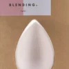 Needs Blending Sponge