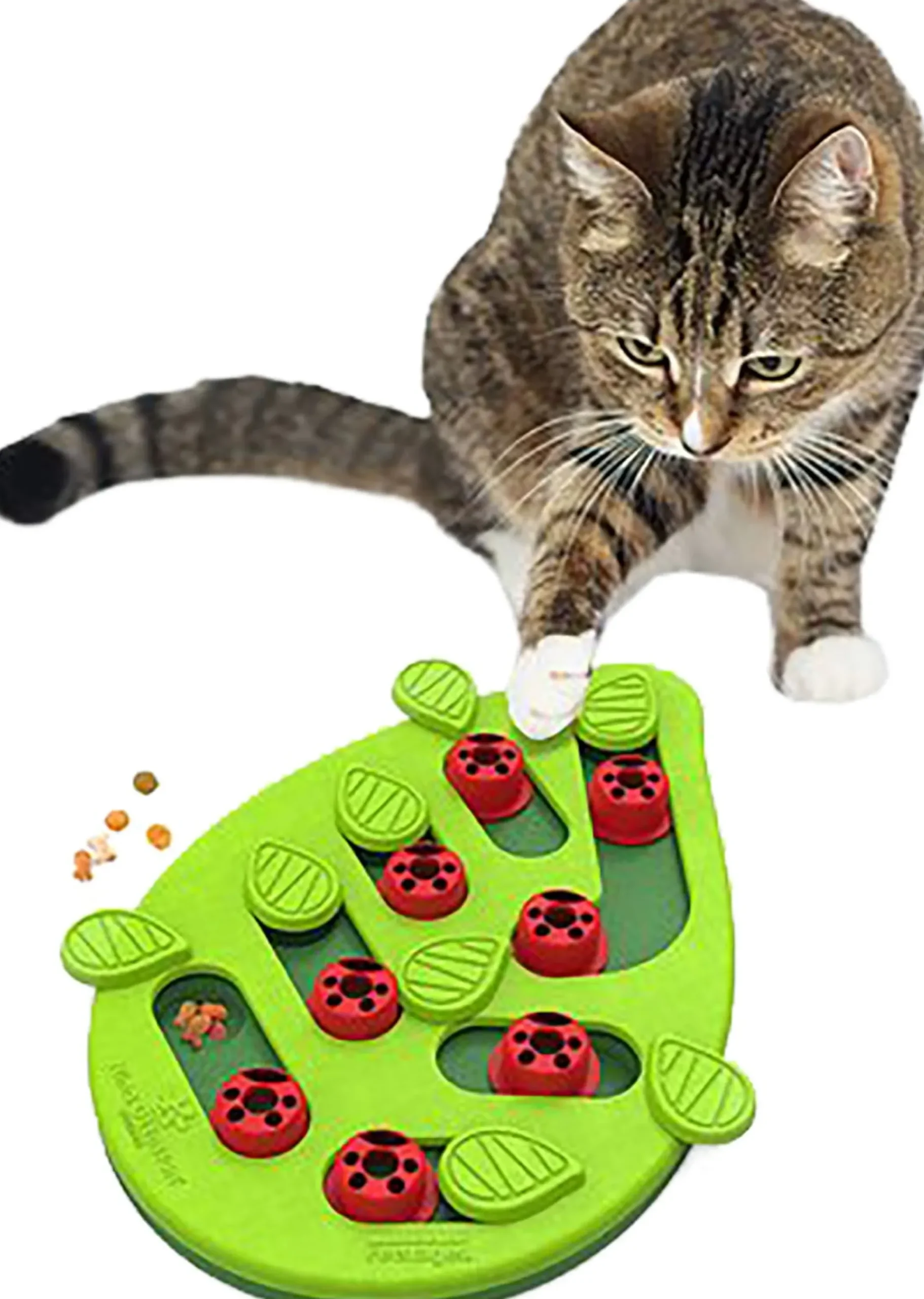 Nina Ottosson Cat Puzzle & Play Buggin Out