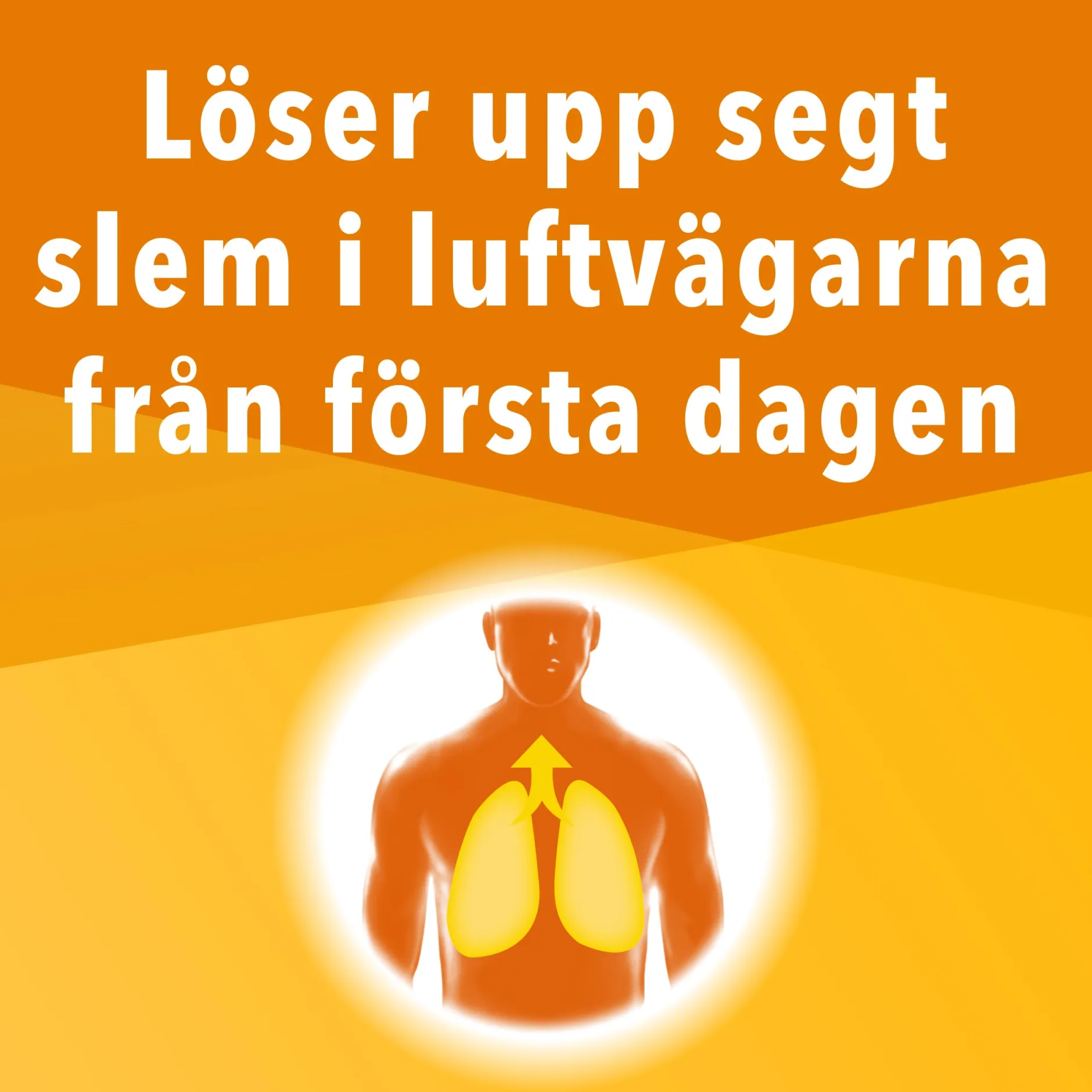Nipenesin Sirap 20 mg/ml, 150 ml