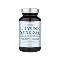 Nordbo L-Lysine Synergy 90 kapslar