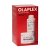 Olaplex Hydration Heroes 300 ml