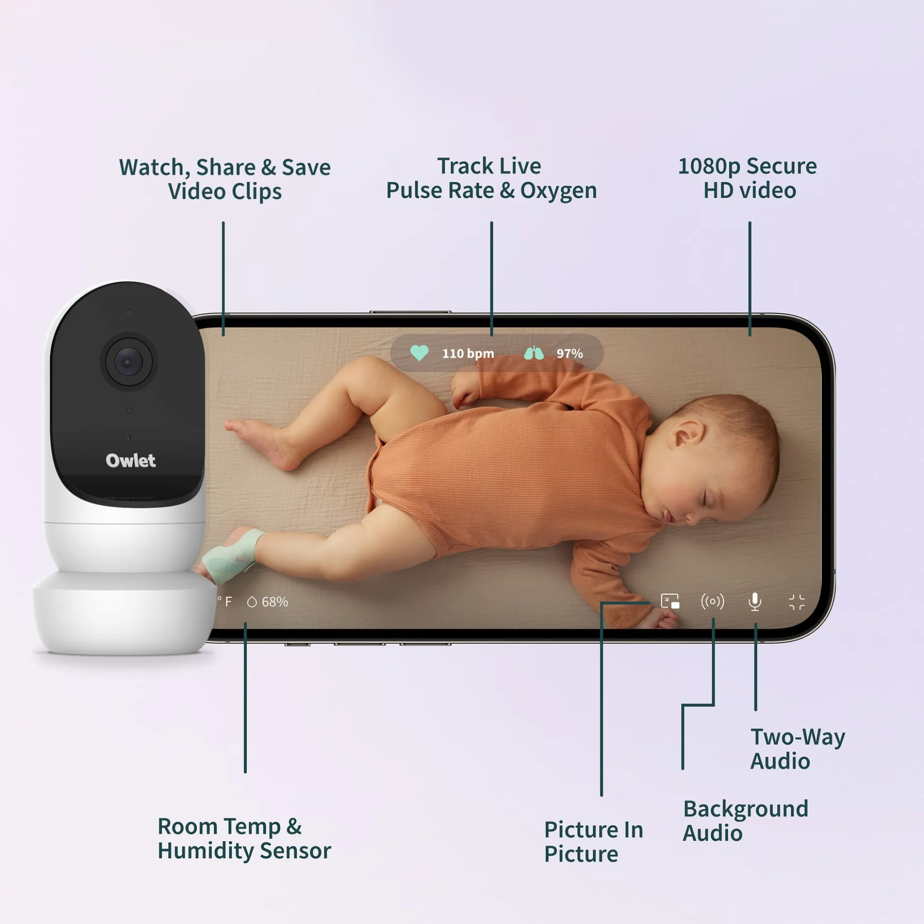 Owlet Dream Sock™ Bedtime Blue + Owlet Cam 2