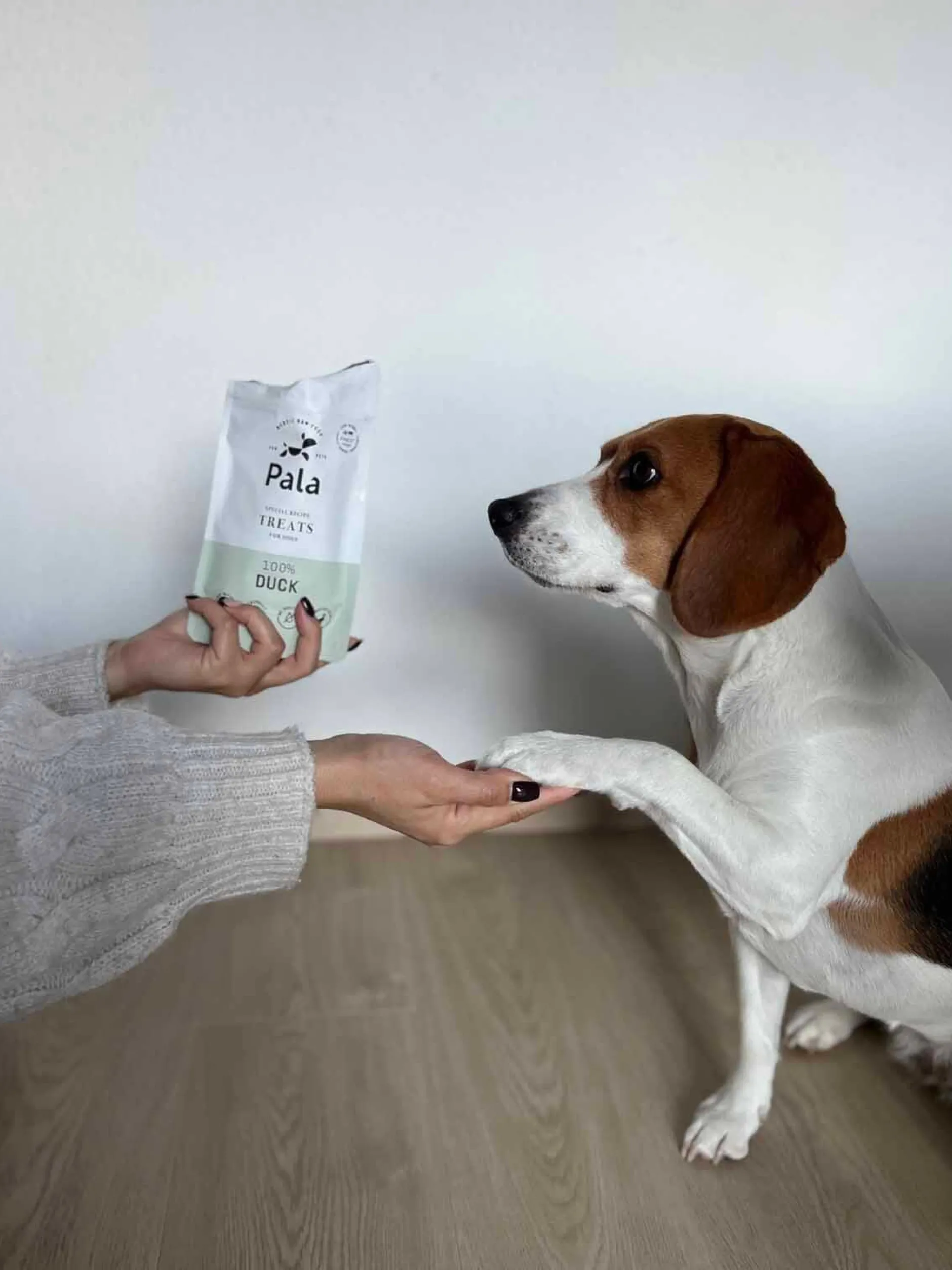 PALA Treats 100% Duck 100 g