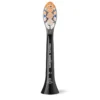 Philips Sonicare Premium All-in-One 2-pack brush heads