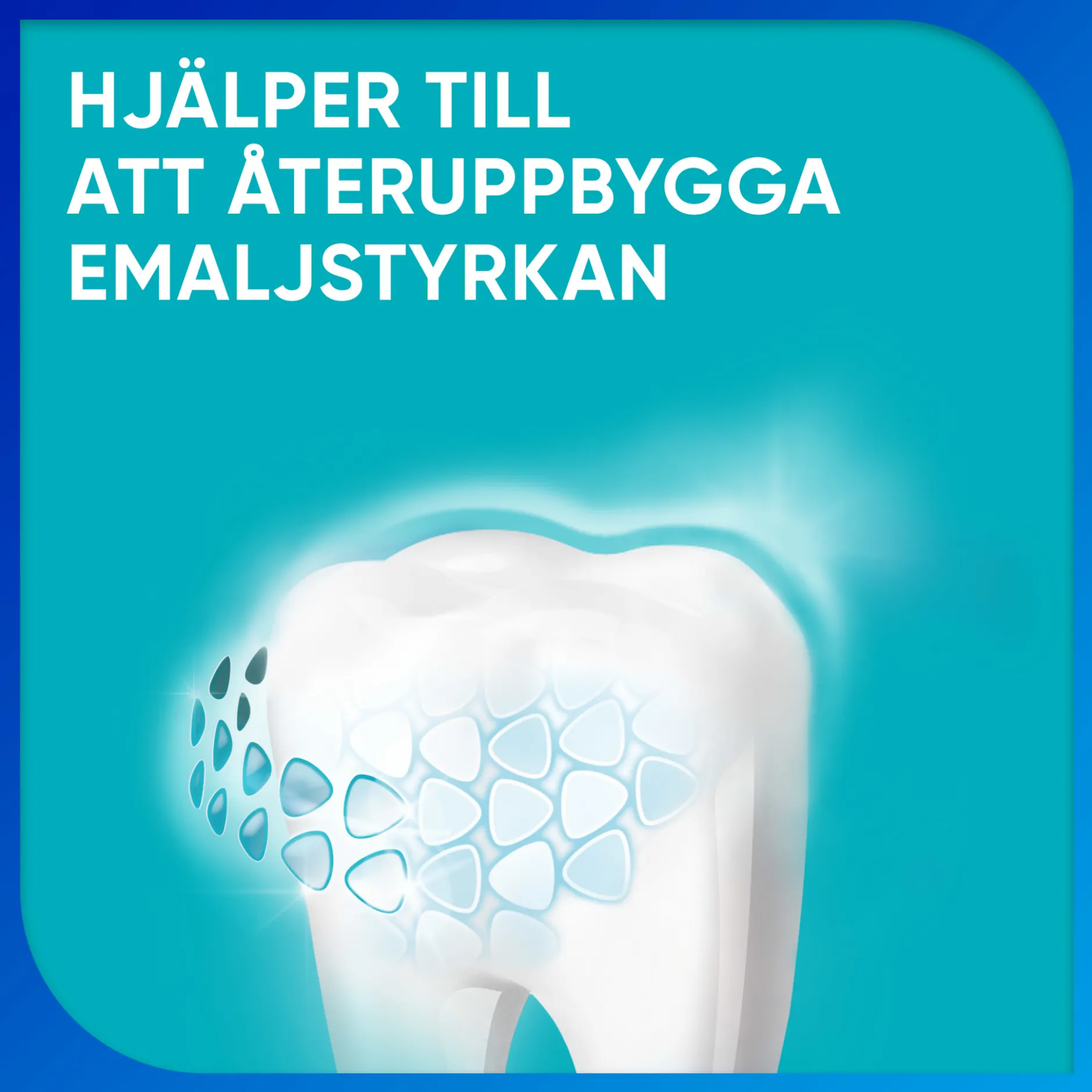 Sensodyne Sensitivity & Gum Enamel Tandkräm 75 ml