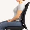Swedish Posture BackRest Svankstöd
