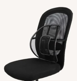 Swedish Posture BackRest Svankstöd