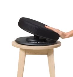 Swedish Posture Balance Ergonomisk Balanssits