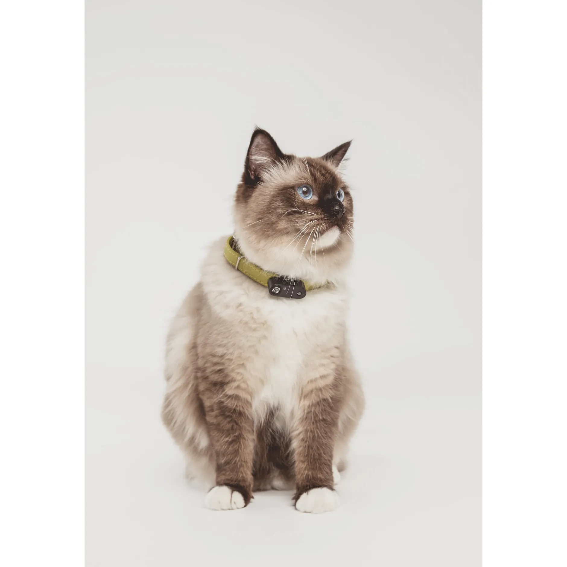 TICKLESS Pet Tick Repellent Mini Cat Black 1 st