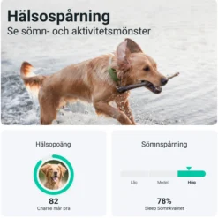 Tractive GPS DOG XL Green 1 st