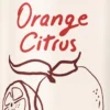 TUMMI Orange Citrus 330 ml